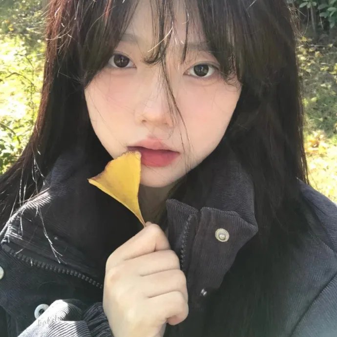 修复